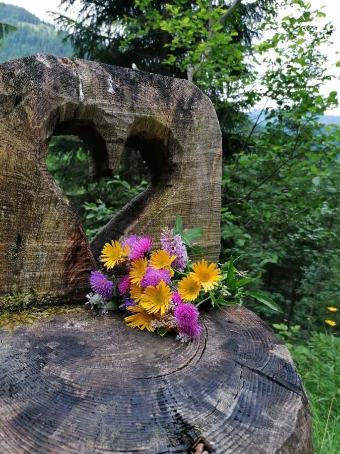 Ferienwohnung Haus Sama Alpbach Dış mekan fotoğraf